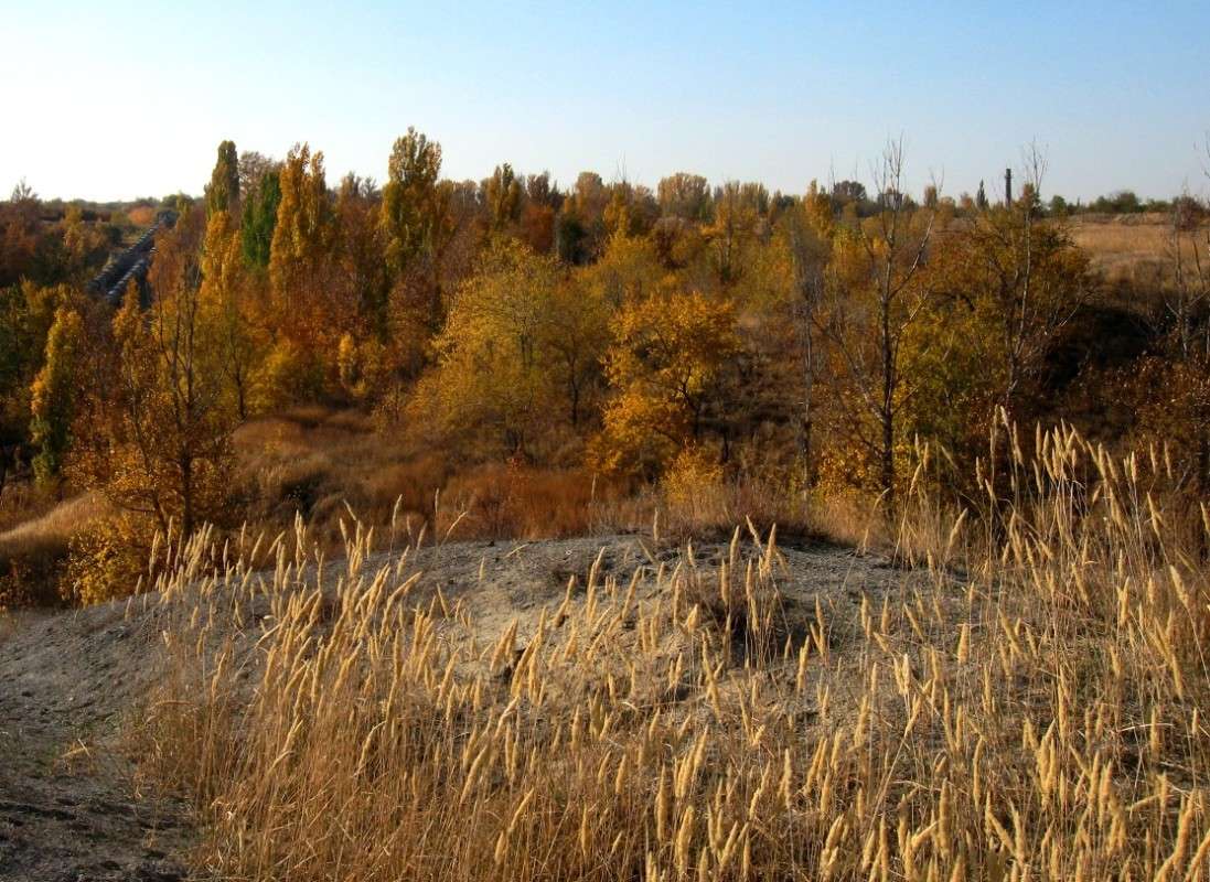 ... ����� Natali  ��������� �� PhotoGeek.ru #������ ��� ������� #����� ��������������