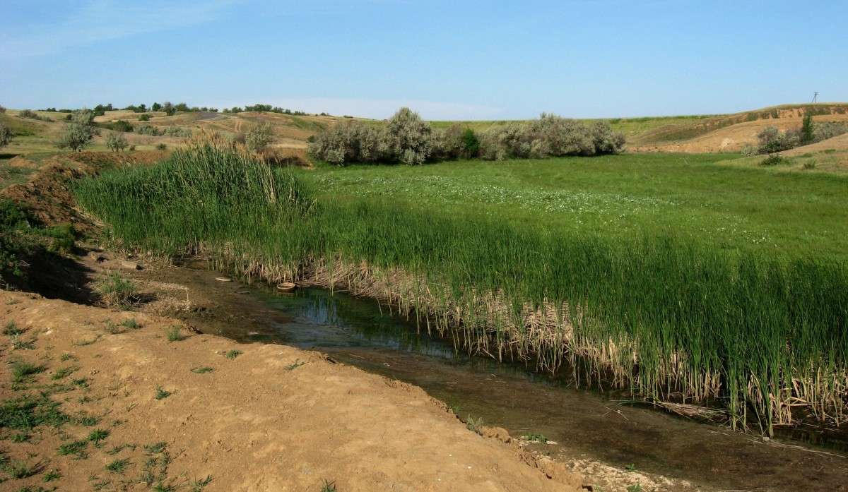 ��� ����� ���... ����� Natali  ��������� �� PhotoGeek.ru #������ ��� ������� #����� ��������������