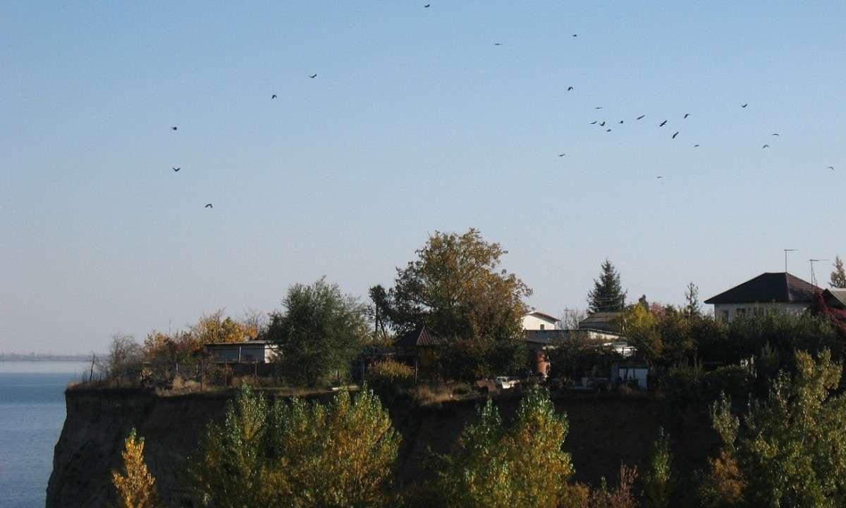 ... ����� Natali  ��������� �� PhotoGeek.ru #������ ��� ������� #����� ��������������