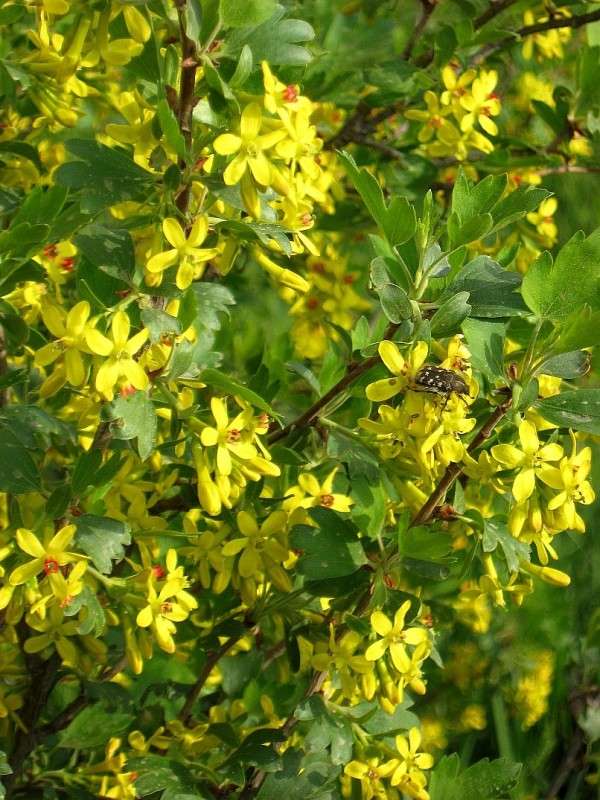 ... ����� Natali  ��������� �� PhotoGeek.ru #������ ��� ������� #����� ��������������