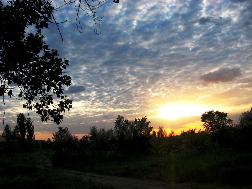 ... ����� Natali  ��������� �� PhotoGeek.ru #������ ��� ������� #����� ��������������