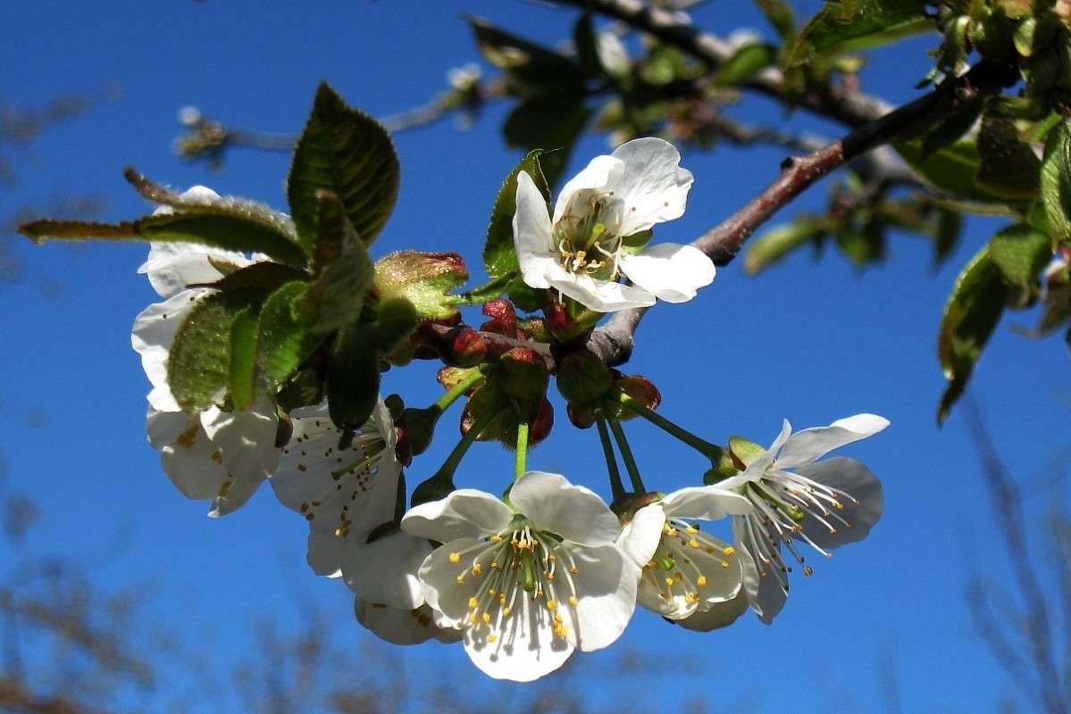 ... ����� Natali  ��������� �� PhotoGeek.ru #������ ��� ������� #����� ��������������