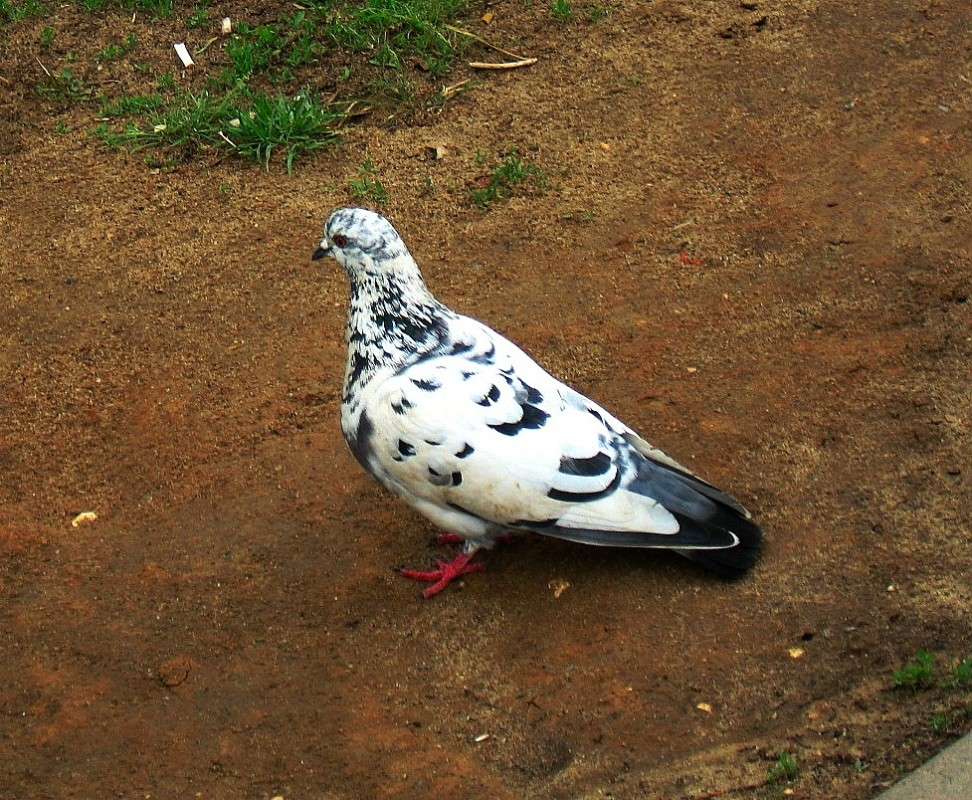 ϸ�����...) ����� Natali  ��������� �� PhotoGeek.ru #�������� ��� #����� ��� ��� ���������