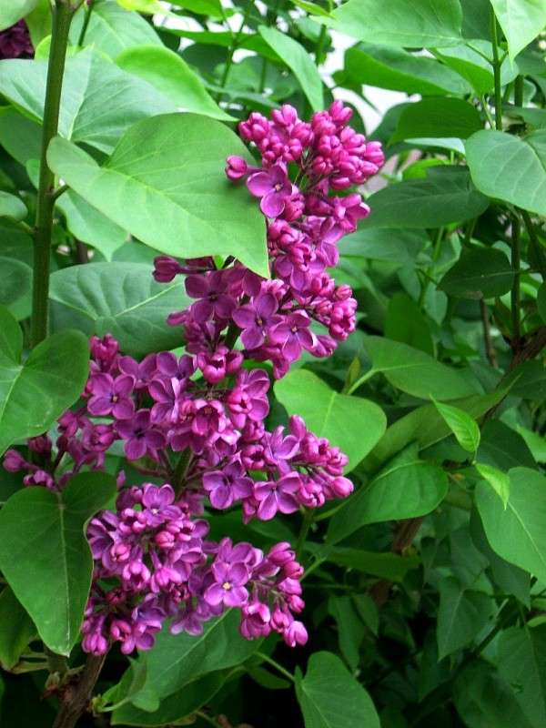 ��� ������ ����� Natali  ��������� �� PhotoGeek.ru #������ ��� ������� #����� ��������������