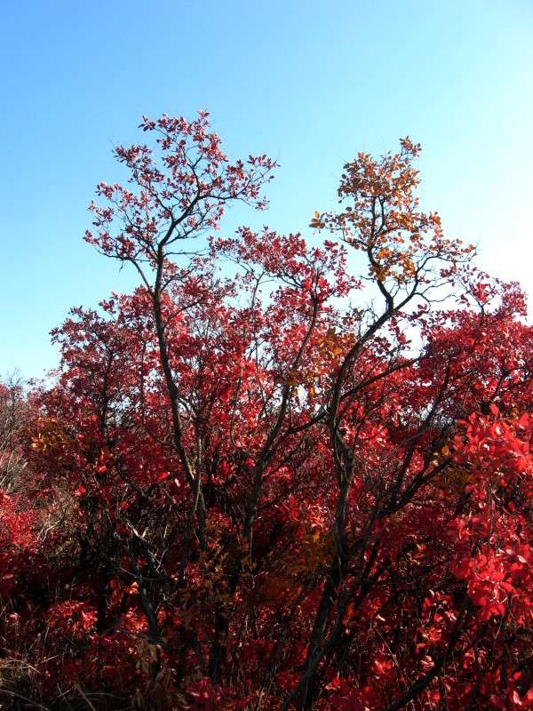 ����� ����� Natali  ��������� �� PhotoGeek.ru #������ ��� ������� #����� ��������������