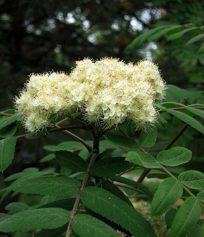 ����� ����� Natali  ��������� �� PhotoGeek.ru #������ ��� ������� #����� ��������������