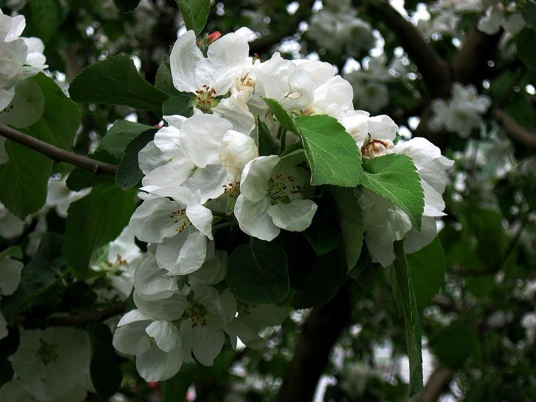 ������� ������...3 ����� Natali  ��������� �� PhotoGeek.ru #������ ��� ������� #����� ��������������