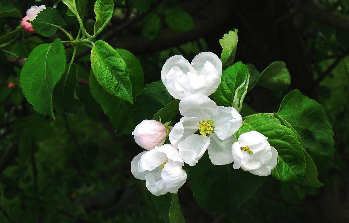 ������� ������...4 ����� Natali  ��������� �� PhotoGeek.ru #������ ��� ������� #����� ��������������