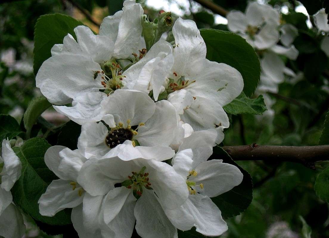 ������� ������ ����� Natali  ��������� �� PhotoGeek.ru #������ ��� ������� #����� ��������������