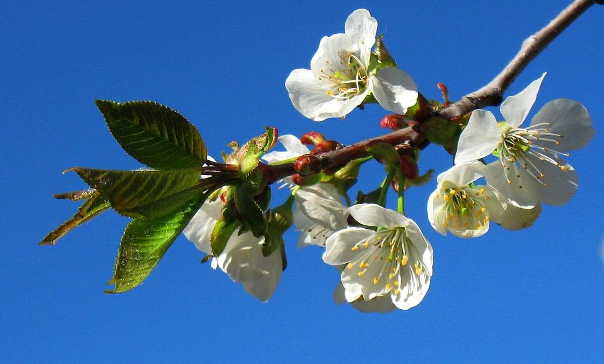 ������� ������...2 ����� Natali  ��������� �� PhotoGeek.ru #������ ��� ������� #����� ��������������