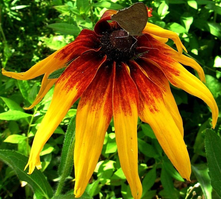 ��������� �������� ��������...) ����� Natali  ��������� �� PhotoGeek.ru #������ ��� ������� #����� ��������������