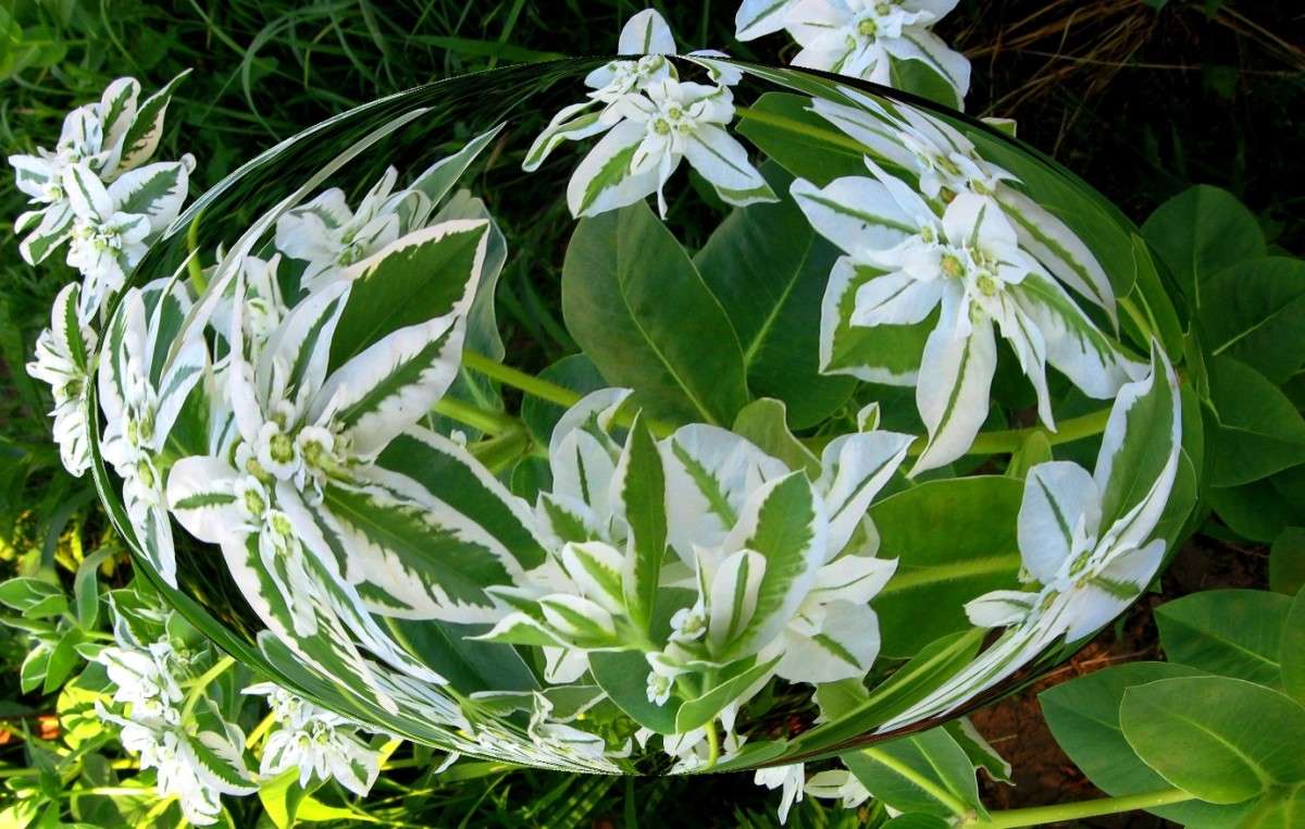 ��, ����...) ����� Natali  ��������� �� PhotoGeek.ru #������ ��� ������� #����� ��������������