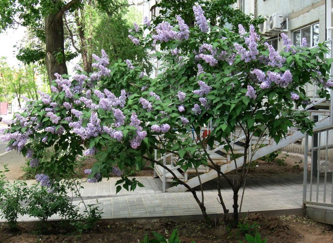 ����� � ��������...) ����� Natali  ��������� �� PhotoGeek.ru #������ ��� ������� #����� ��������������