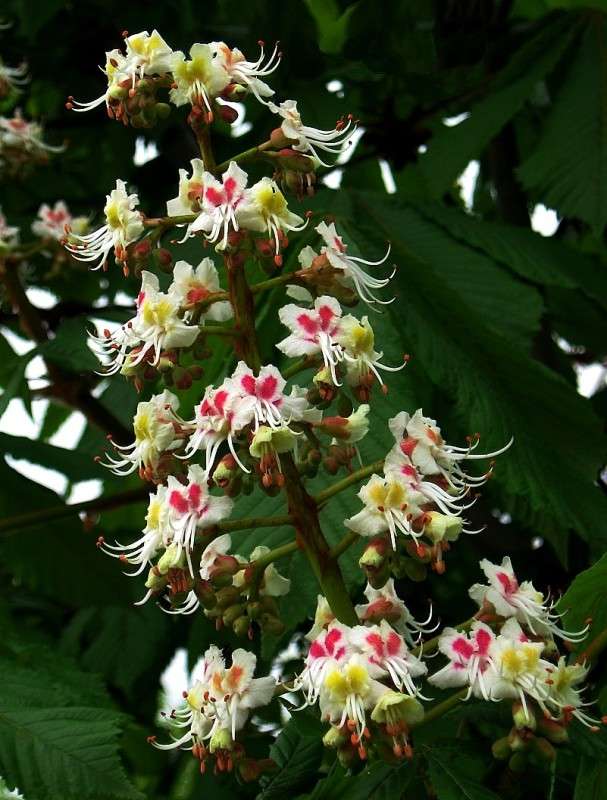 ����� ����� Natali  ��������� �� PhotoGeek.ru #������ ��� ������� #����� ��������������