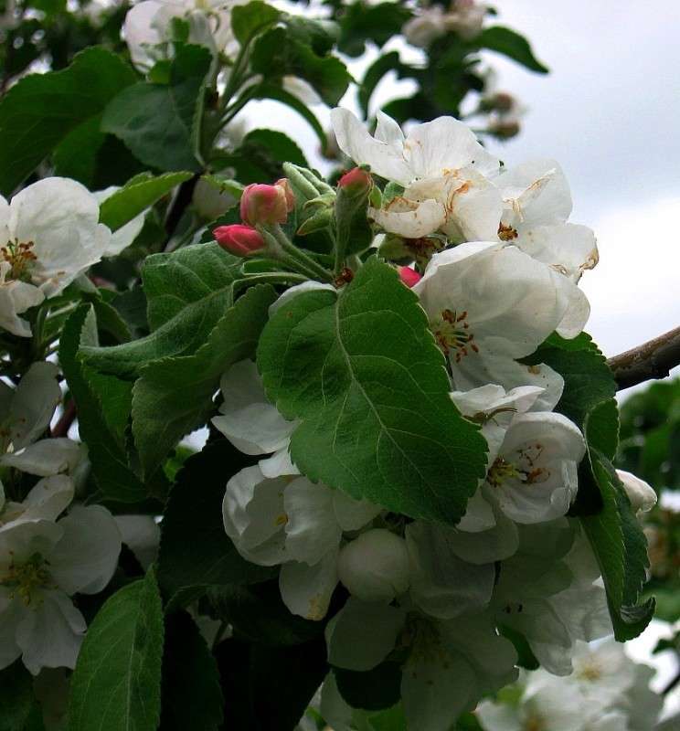 �����...3 ����� Natali  ��������� �� PhotoGeek.ru #������ ��� ������� #����� ��������������