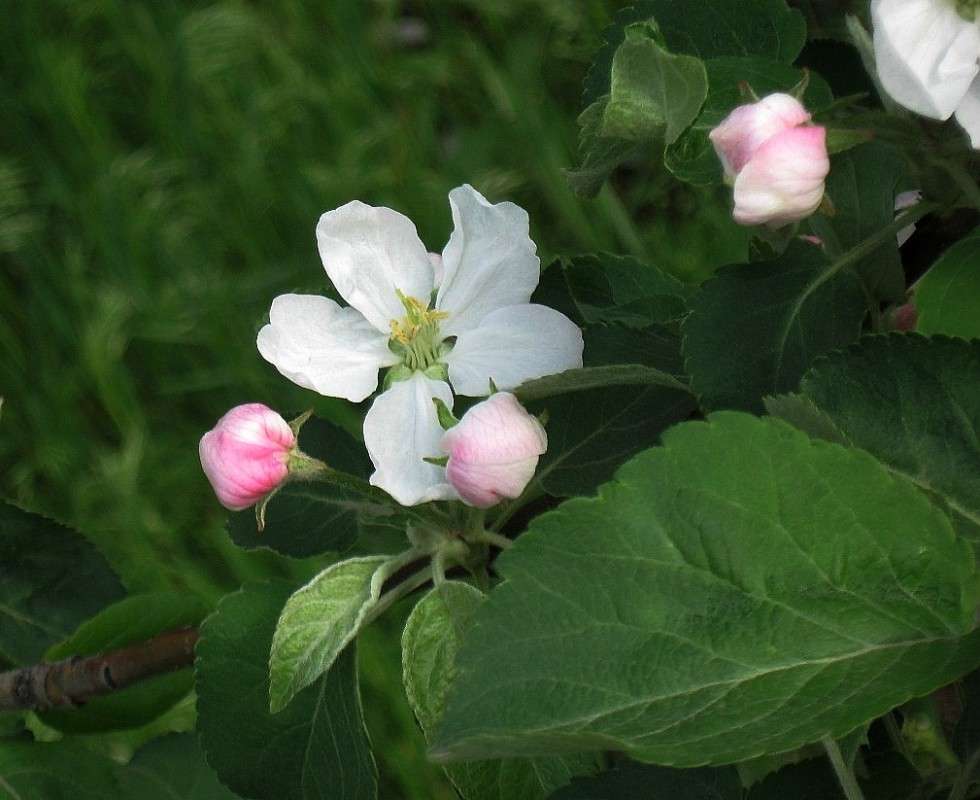 �����...4 ����� Natali  ��������� �� PhotoGeek.ru #������ ��� ������� #����� ��������������