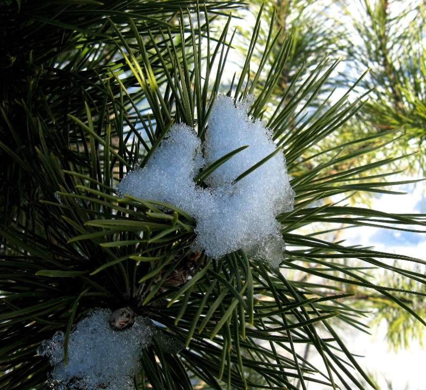 ����� ������ ...) ����� Natali  ��������� �� PhotoGeek.ru #������ ��� ������� #����� ��������������