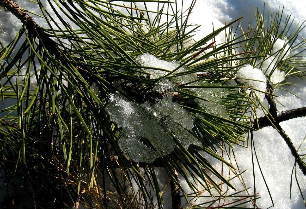 ����, ����.... ( ����� Natali  ��������� �� PhotoGeek.ru #������ ��� ������� #����� ��������������