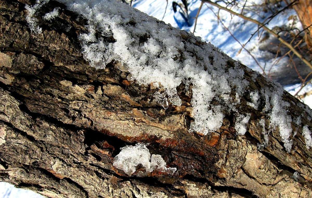 ��������....( ����� Natali  ��������� �� PhotoGeek.ru #������ ��� ������� #����� ��������������