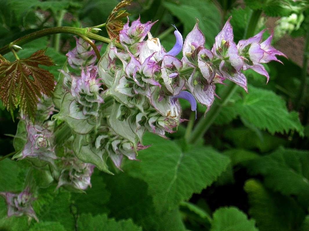 ... ����� Natali  ��������� �� PhotoGeek.ru #������ ��� ������� #����� ��������������