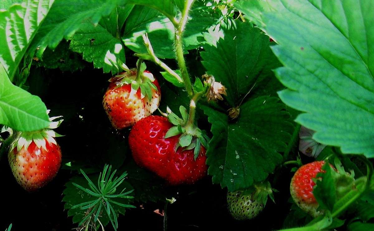 ... ����� Natali  ��������� �� PhotoGeek.ru #������ ��� ������� #����� ��������������