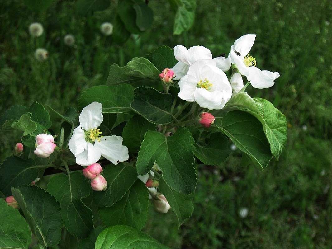 ... ����� Natali  ��������� �� PhotoGeek.ru #������ ��� ������� #����� ��������������