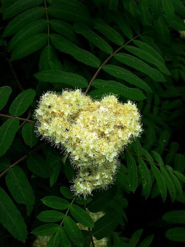 ... ����� Natali  ��������� �� PhotoGeek.ru #������ ��� ������� #����� ��������������