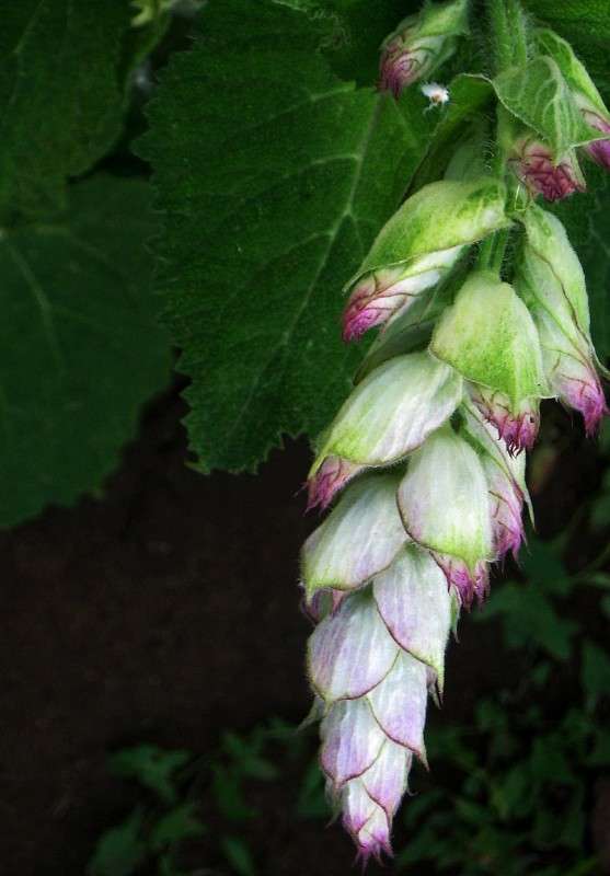 ... ����� Natali  ��������� �� PhotoGeek.ru #������ ��� ������� #����� ��������������