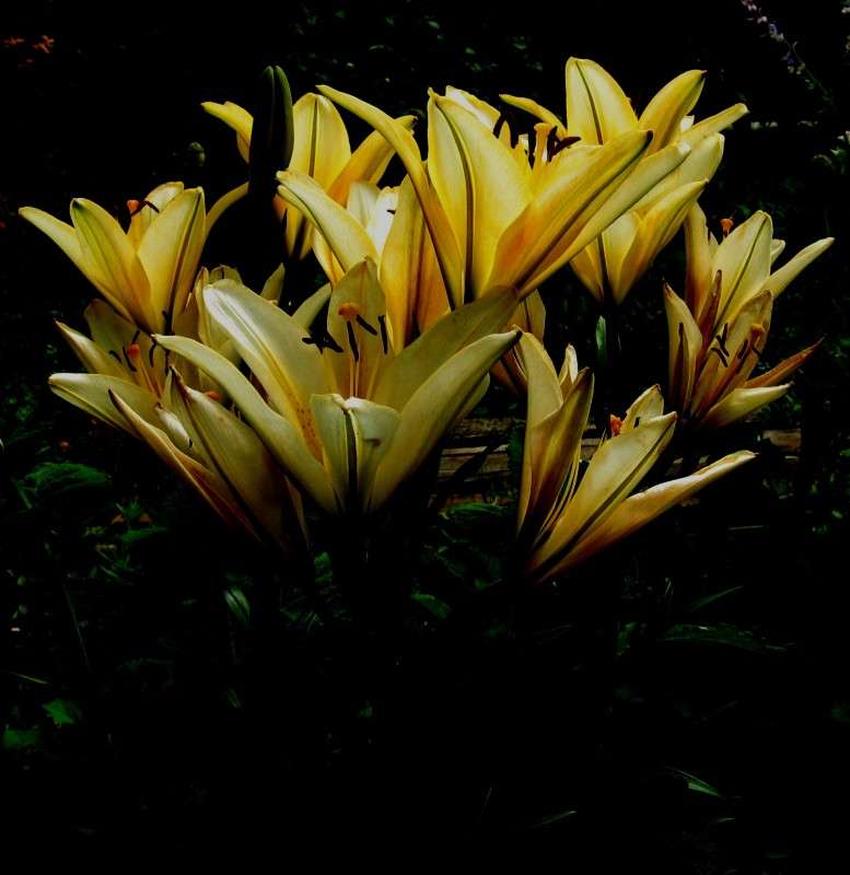 ... ����� Natali  ��������� �� PhotoGeek.ru #������ ��� ������� #����� ��������������