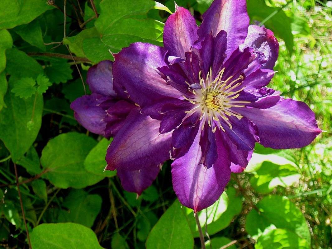 �������� ����� Natali  ��������� �� PhotoGeek.ru #������ ��� ������� #����� ��������������