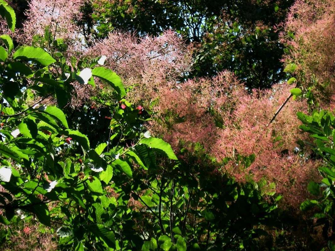 �� ������...) ����� Natali  ��������� �� PhotoGeek.ru #������ ��� ������� #����� ��������������