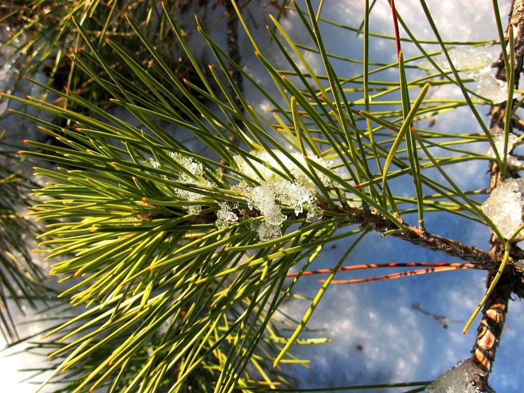 �� �������� ����� Natali  ��������� �� PhotoGeek.ru #����� ��������������