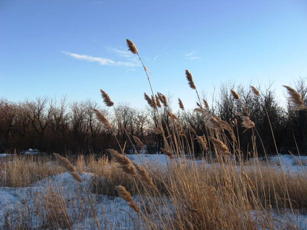 �� ����� ����� Natali  ��������� �� PhotoGeek.ru #������ ��� ������� #����� ��������������