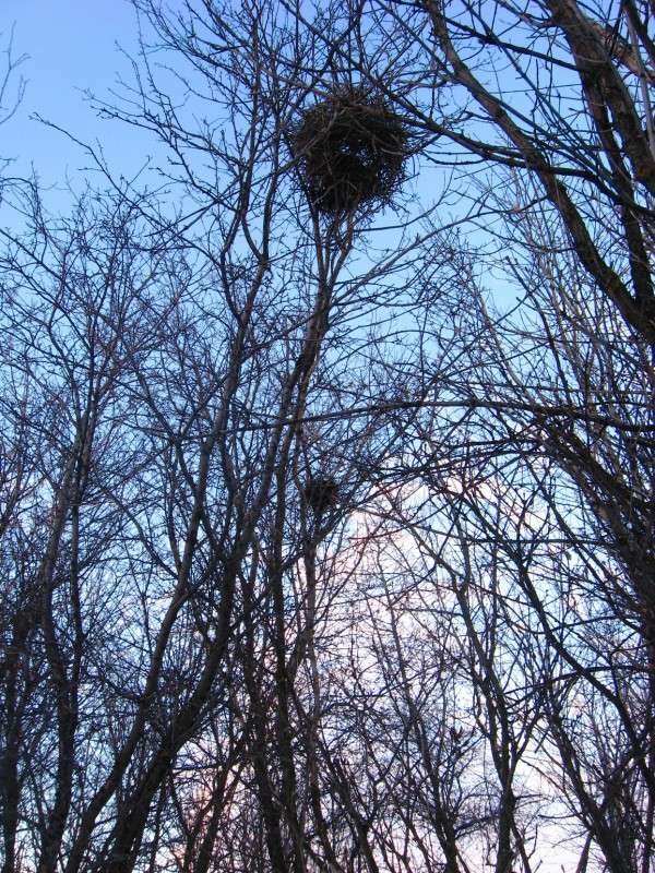 ... ����� Natali  ��������� �� PhotoGeek.ru #������ ��� ������� #����� ��������������