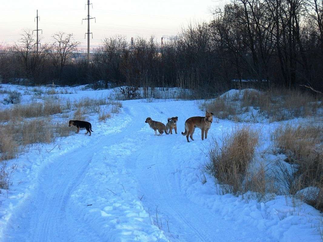 ��������... ) ����� Natali  ��������� �� PhotoGeek.ru #�������� ��� #������ ��� ������� #����� ��� ��� ���������