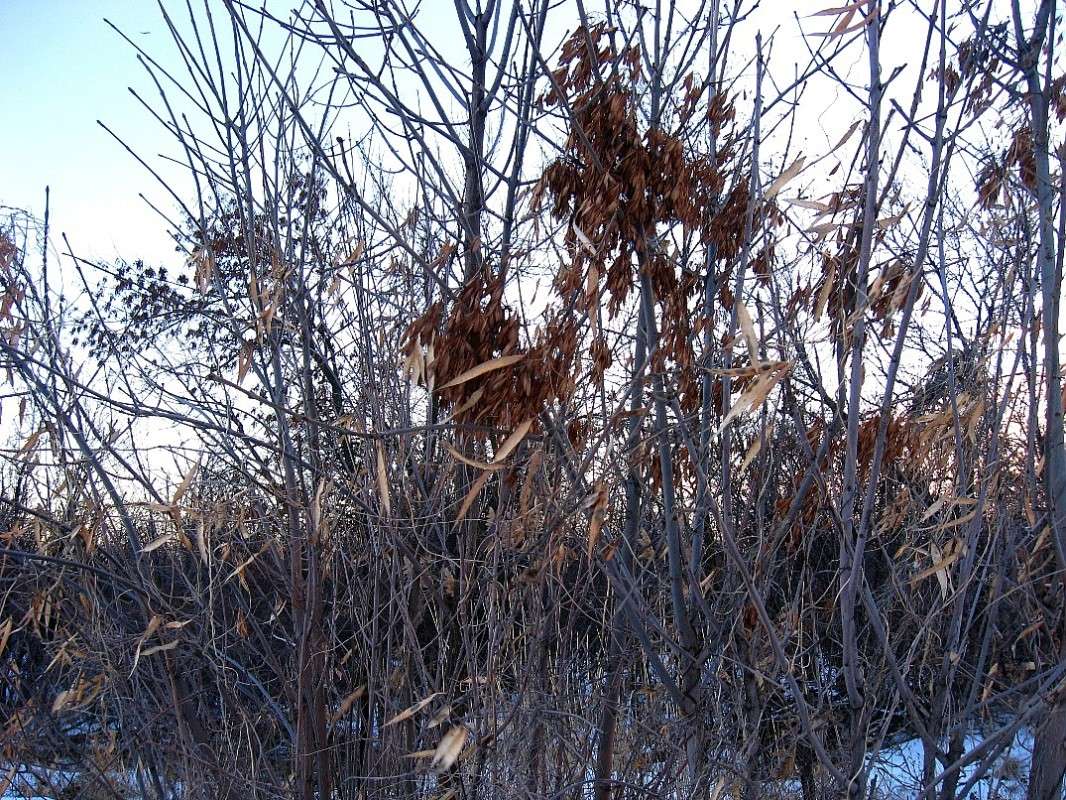 ... ����� Natali  ��������� �� PhotoGeek.ru #������ ��� ������� #����� ��������������