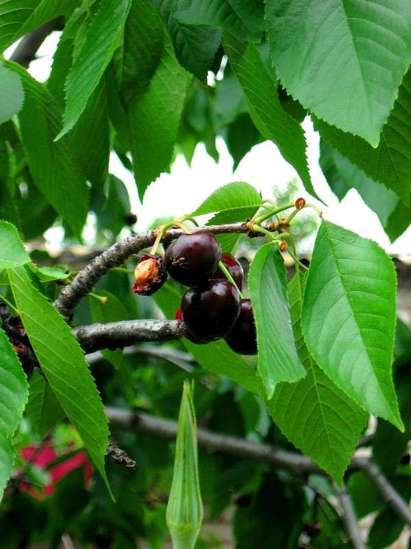 ������� ����� Natali  ��������� �� PhotoGeek.ru #������ ��� ������� #����� ��������������