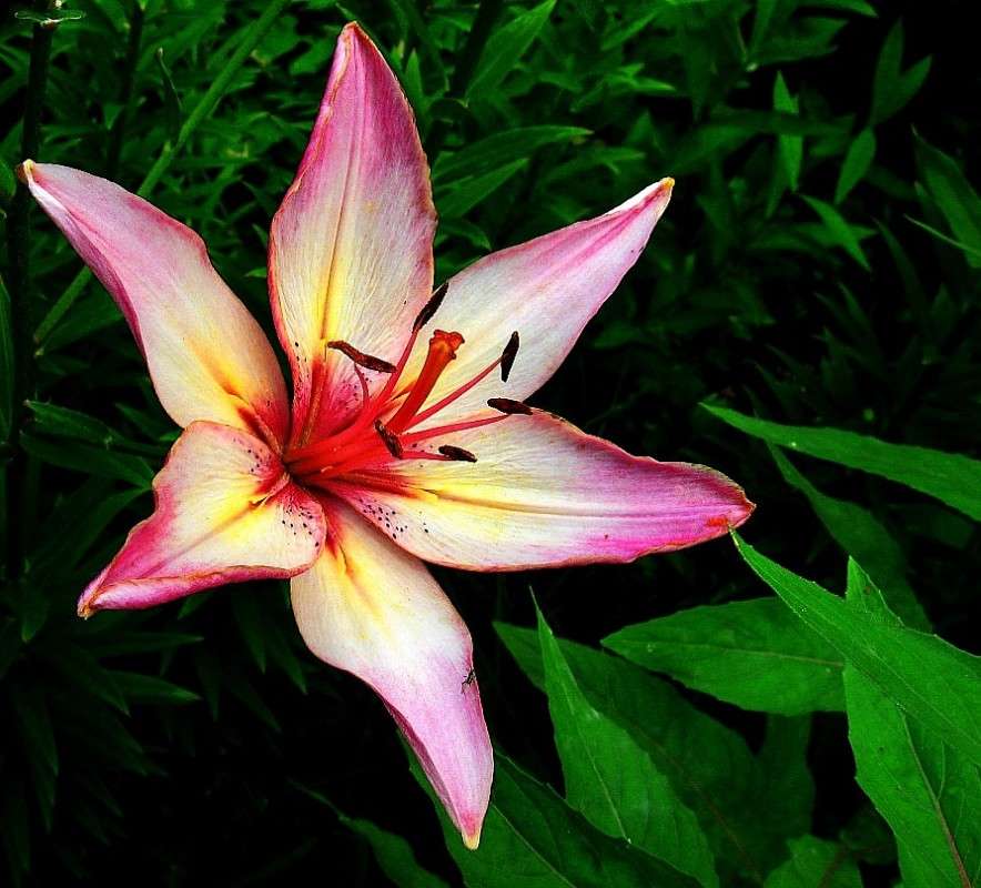 ... ����� Natali  ��������� �� PhotoGeek.ru #������ ��� ������� #����� ��������������