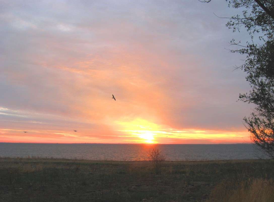 ������� ������ ����� Natali  ��������� �� PhotoGeek.ru #������ ��� �������