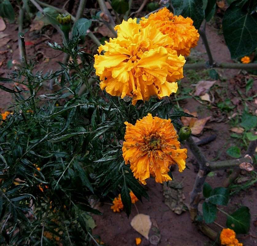 ������� ����� Natali  ��������� �� PhotoGeek.ru #������ ��� ������� #����� ��������������