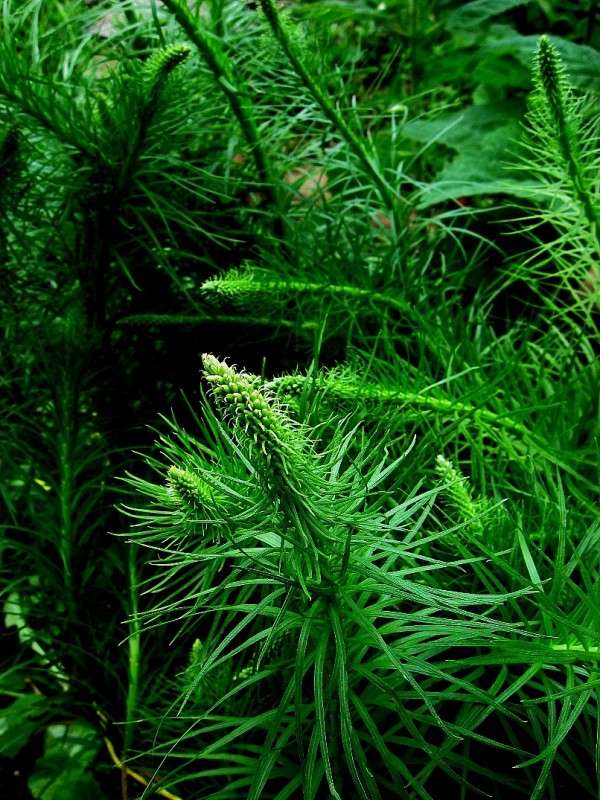 ��� ������� ����� Natali  ��������� �� PhotoGeek.ru #������ ��� ������� #����� ��������������