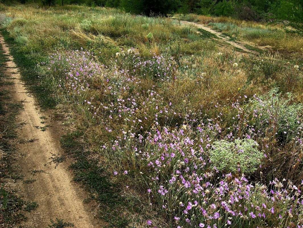 ����� �����... ����� Natali  ��������� �� PhotoGeek.ru #������ ��� ������� #����� ��������������