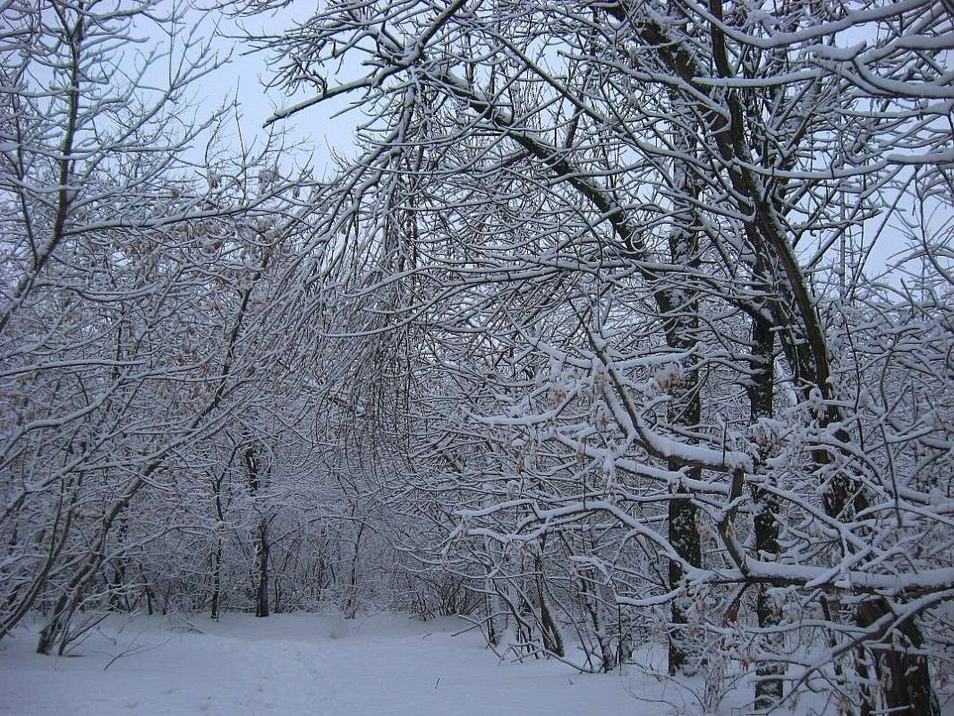 ��������� ���� ����� Natali  ��������� �� PhotoGeek.ru #������ ��� �������