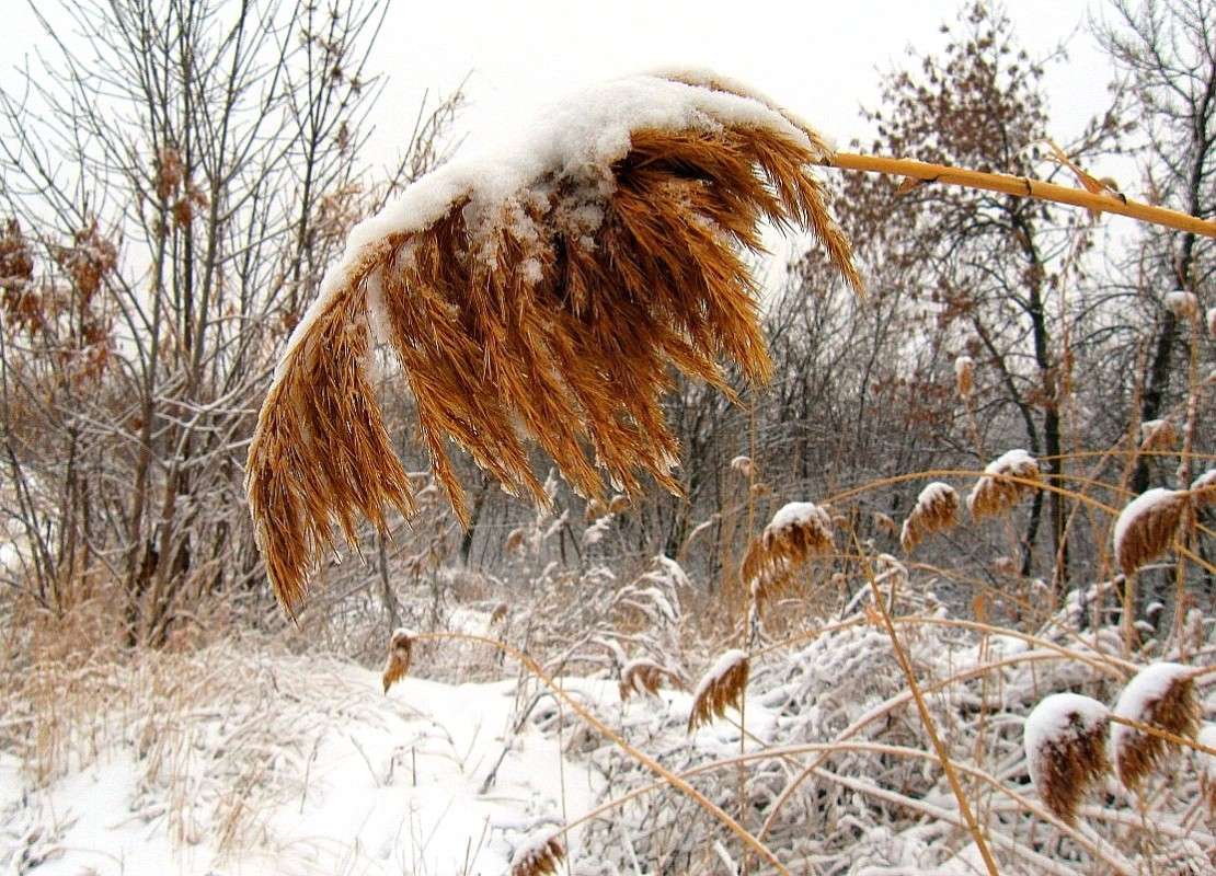 ... ����� Natali  ��������� �� PhotoGeek.ru #������ ��� ������� #����� ��������������