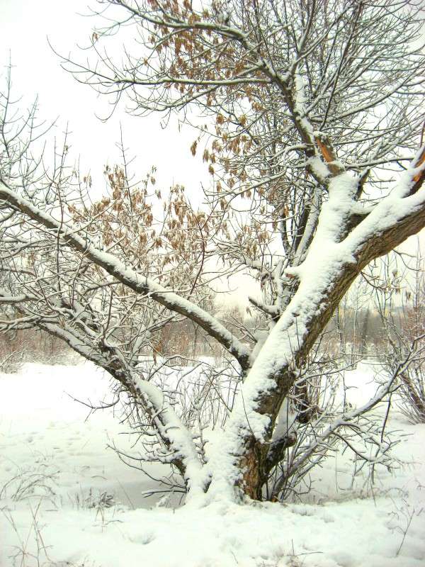 ... ����� Natali  ��������� �� PhotoGeek.ru #������ ��� ������� #����� ��������������