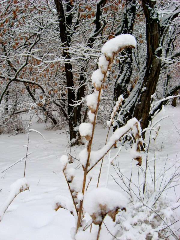 ... ����� Natali  ��������� �� PhotoGeek.ru #������ ��� ������� #����� ��������������