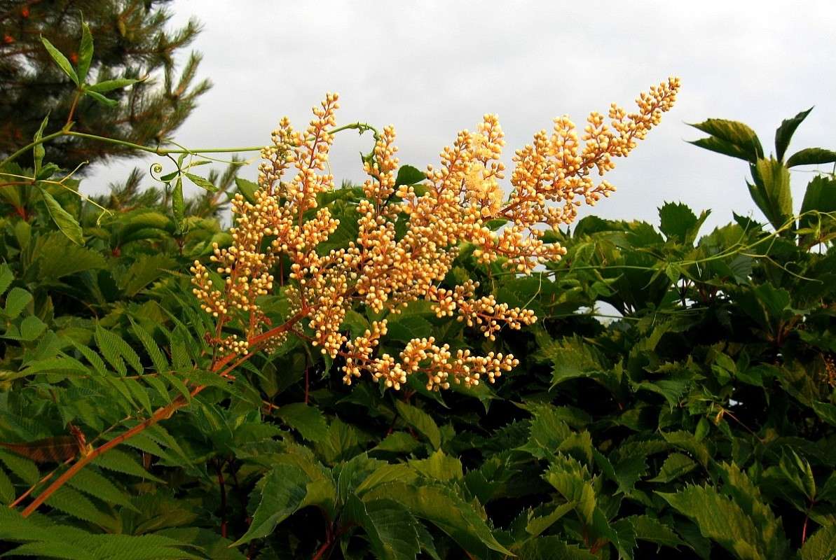 ... ����� Natali  ��������� �� PhotoGeek.ru #������ ��� ������� #����� ��������������