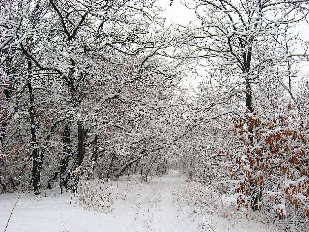 ... ����� Natali  ��������� �� PhotoGeek.ru #������ ��� �������