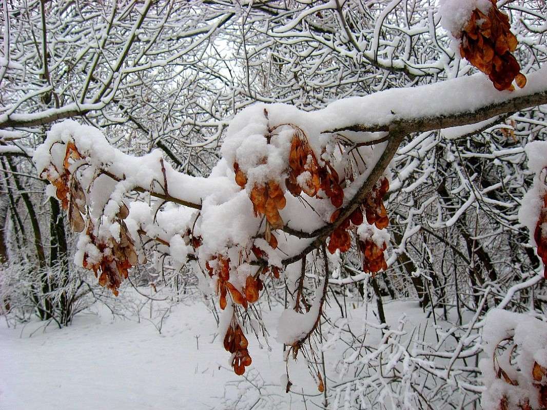 �������� �� ���� 3 ����� Natali  ��������� �� PhotoGeek.ru #������ ��� ������� #����� ��������������