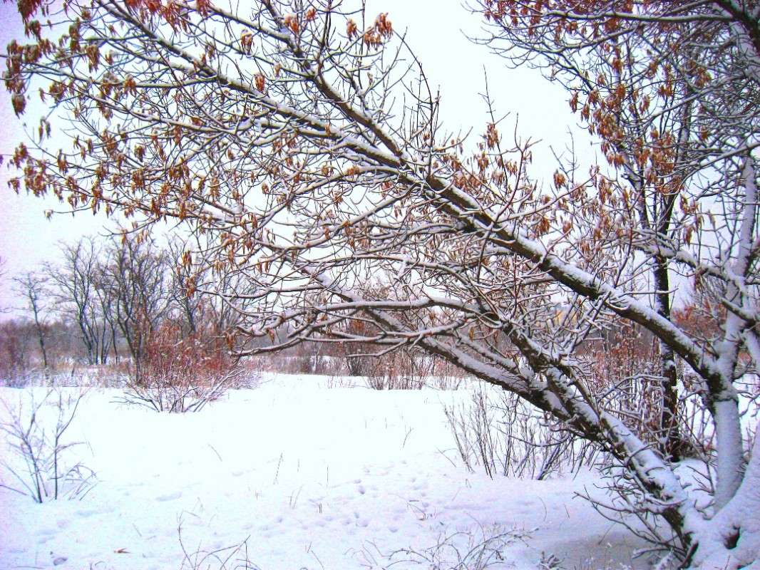 �������� �� ���� 2 ����� Natali  ��������� �� PhotoGeek.ru #������ ��� �������